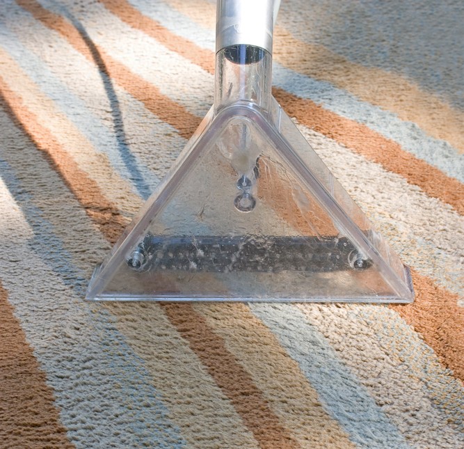 Professional Carpet Cleaning Service