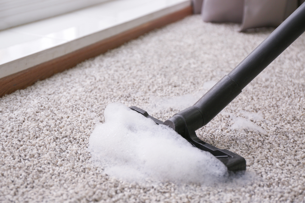 Stain & Odor Removal